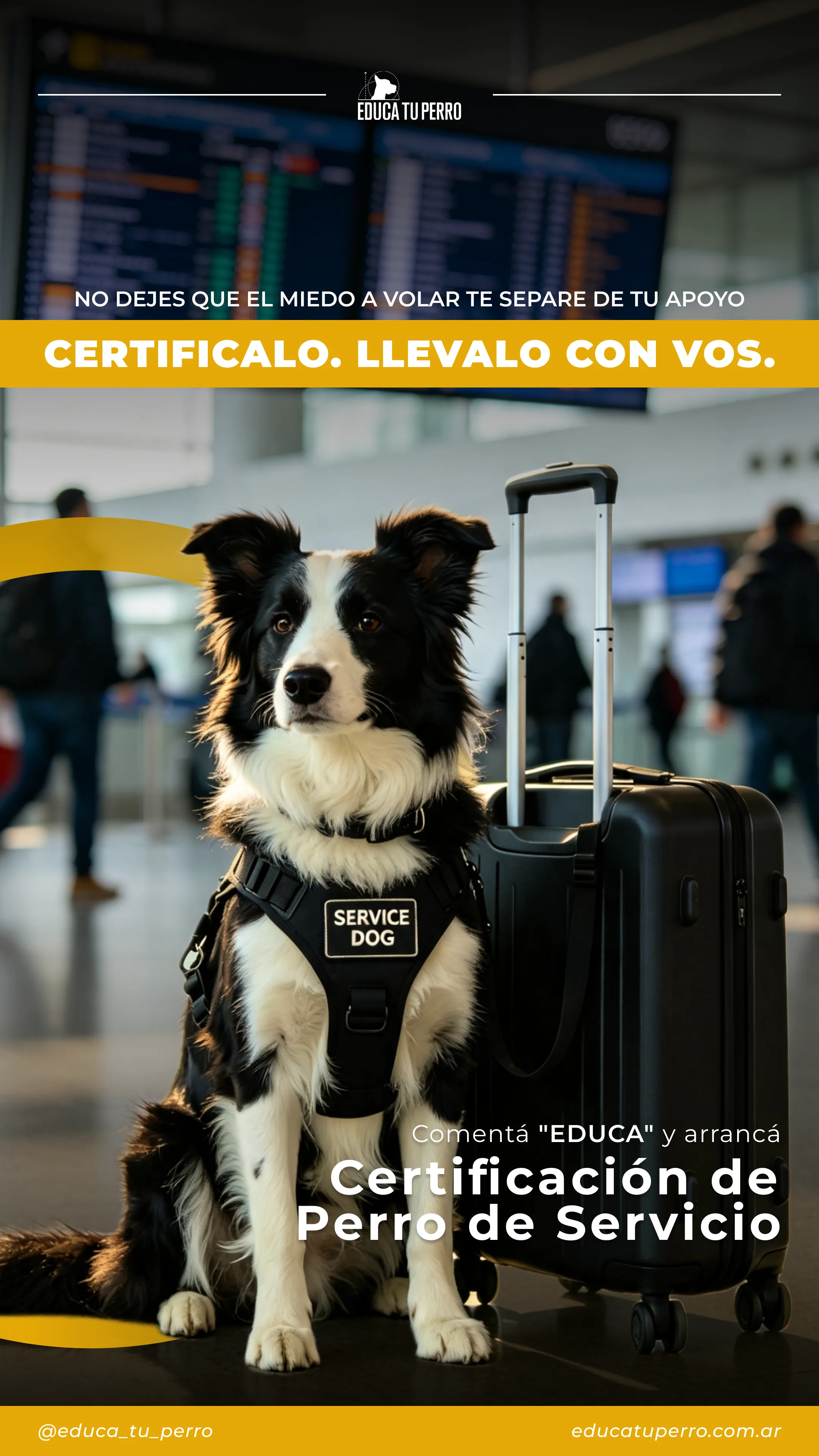Educa Tu Perro 9